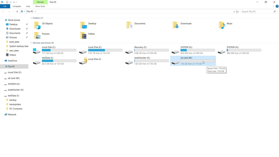 Formatted SD card showing 116GB free