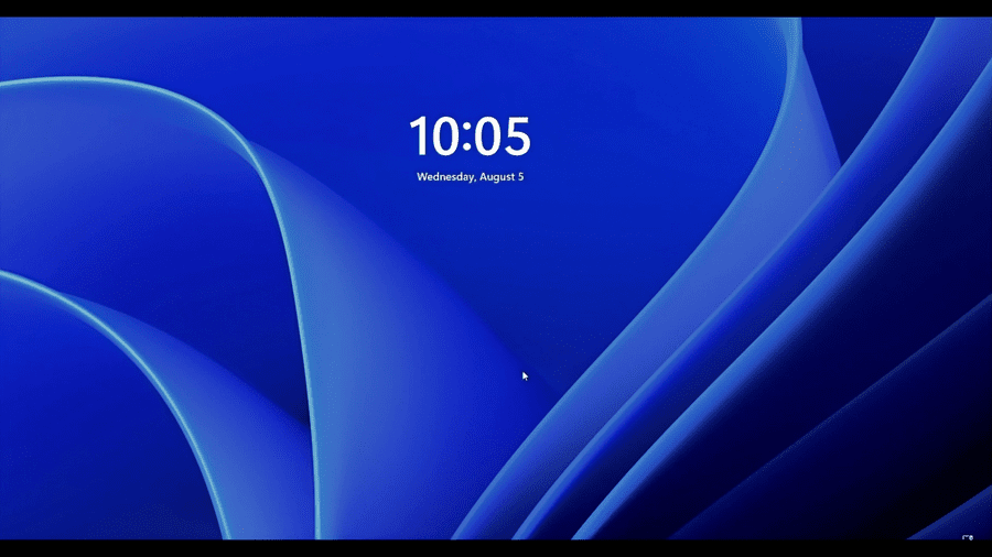 Windows 11 successfully booted