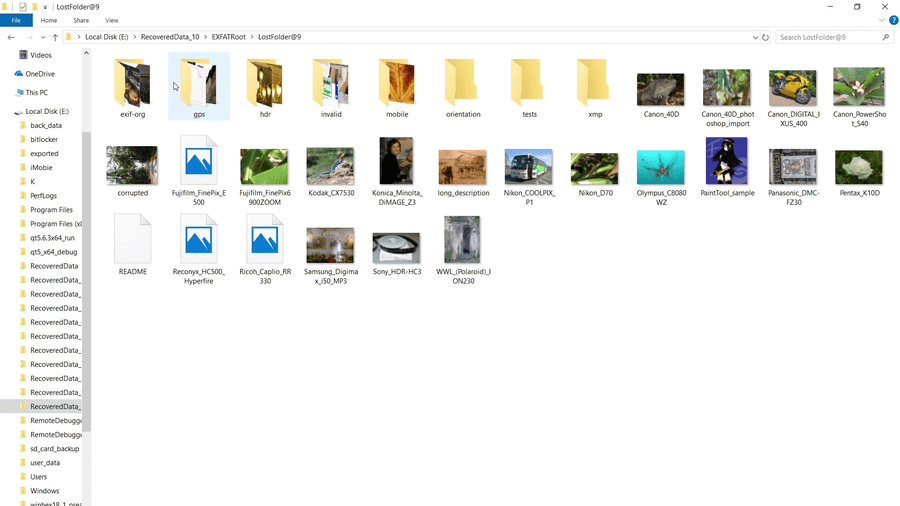 Recovered folders and files from the formatted exFAT SD card