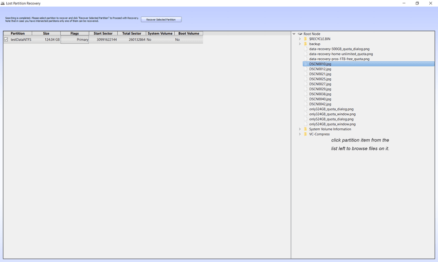 Lost partition recovery results with preview files and recover selected partition button