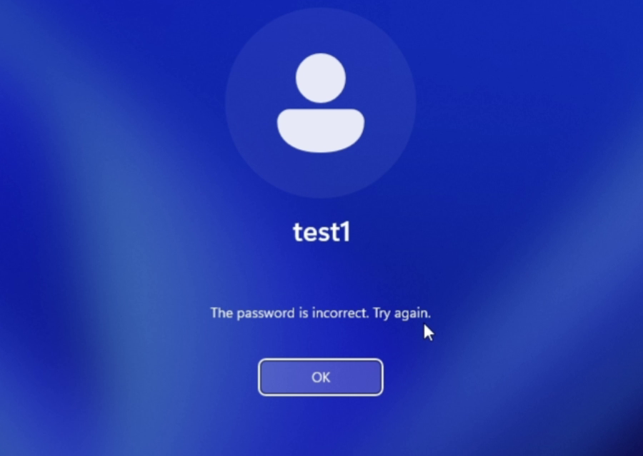 Windows 11 password incorrect sign-in screen